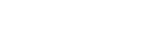 LUN